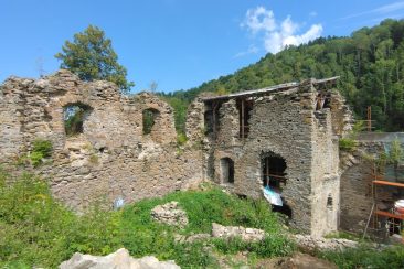 Blick auf Palas mit Dach und Außenmauer